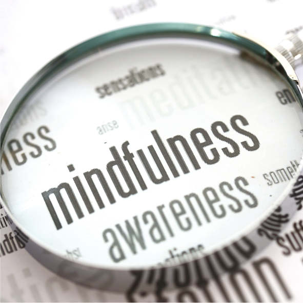 Mindfulness Workshops